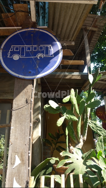 summer,tropic,busstop,버스정류장,선인장,표지판,여름