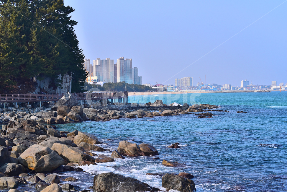 바다,해안가,갯바위,항구도시,파도,물결,sea,암석,소나무,산책로,동해바다,배경,바탕,백그라운드,야외,옥외,아웃도어,자연,풍경,nature,landscape,한국자연풍경,한국자연경관,korea nature landscape