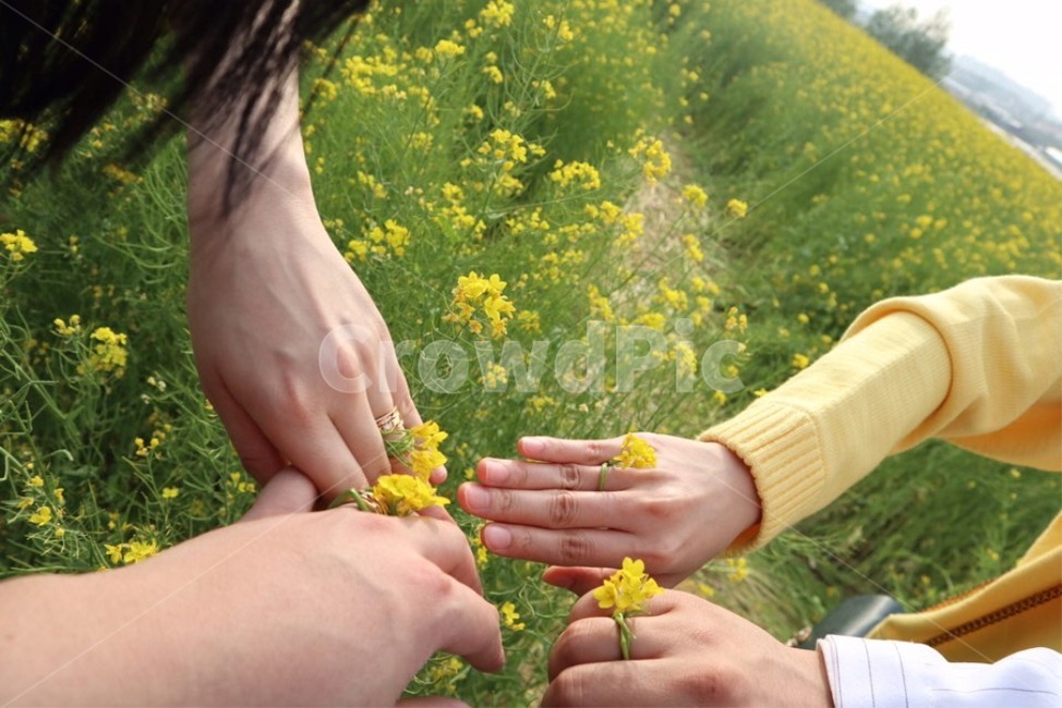 spring trip,couple travel,rape flower,Rape flower ring,flower ring,friendship trip