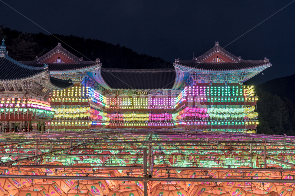 연등,야경,사찰,불교,부처님오신날,삼광사,풍경,야경,밤,풍경,nightscape,night,landscape,한국전통,한국문화,korean traditional,korean culture,종교,신앙,religion,belief,faith,축제,행사,festival,carnival,event,기념일,축하,anniversary,congratulation,celebrate,celebration,worship,예배,shrine,신사,pagoda,탑,architecture,건축물,building,건물