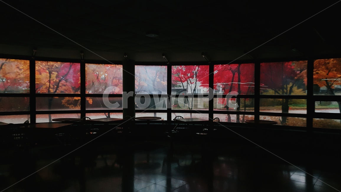 가을,단풍,낙엽,fall,창문,autumn,감성,window,가을,계절,fall,autumn,season,indoors,옥내,interior design,인테리어 디자인