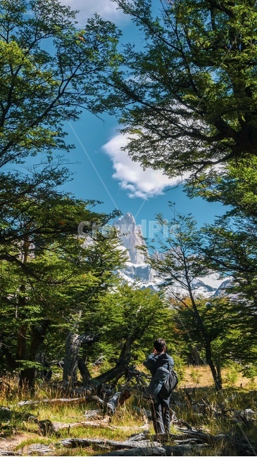 식물,plant,나무,person,사람,human,인간,tree,자연,사진찍는남자,nature,여행,휴가,traveling,vacation,trip