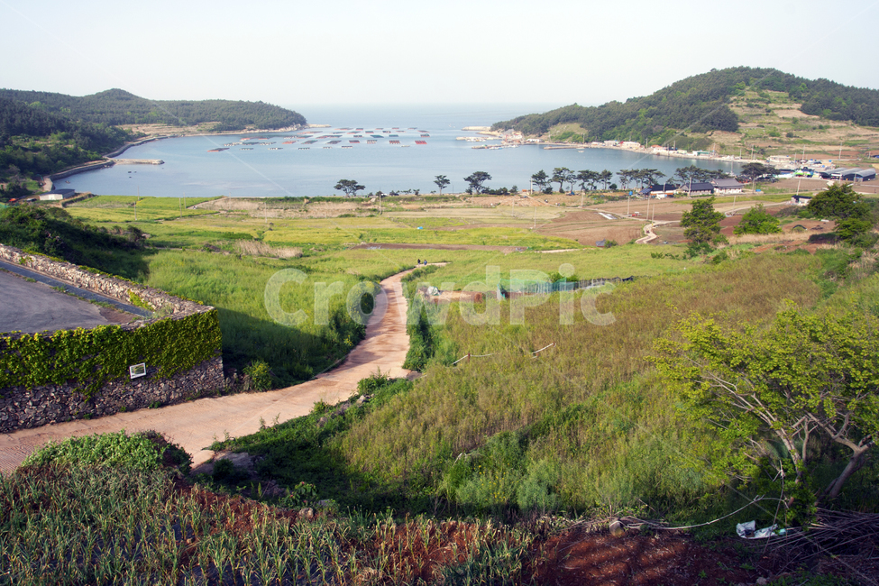 청산도,슬로시티,청산도청보리,완도,슬로우걷기축제,청산도슬로시티,시골,마을,풍경,landscape,country,rural,town