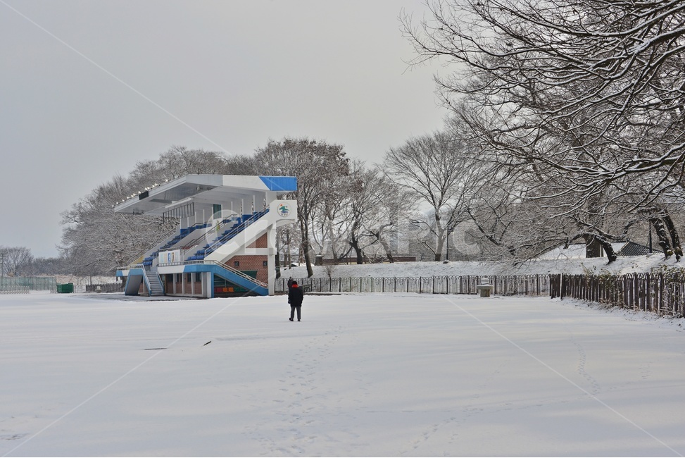 person,사람,human,인간,plant,식물,tree,나무,winter,겨울,blizzard,눈보라,nature,자연,outdoors,옥외,snow,눈,담양,관방천,관방제림,관방천설경,관방제림설경,운동장,체육시설,관방천체육시설
