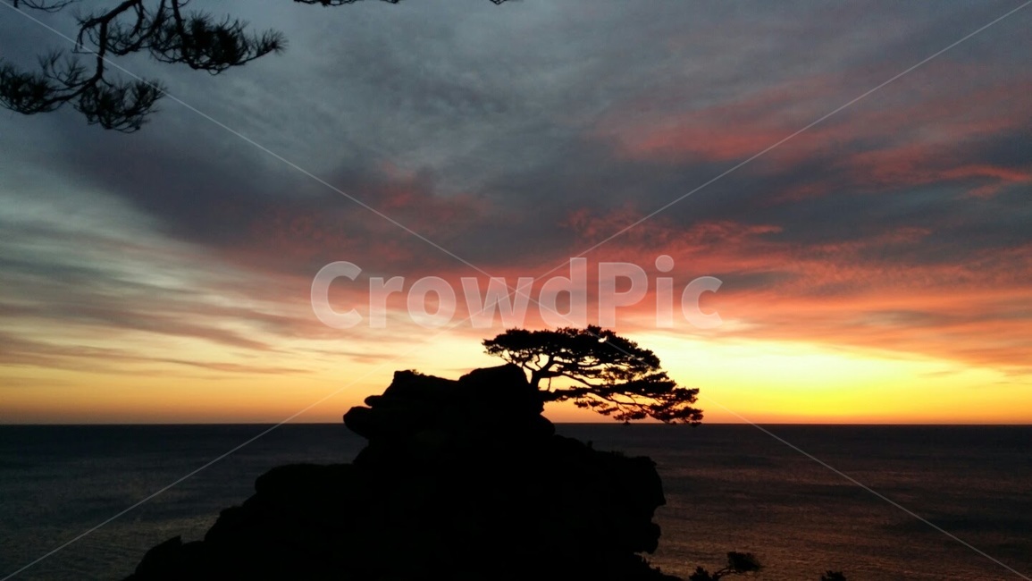 nature,자연,옥외,하늘,노을,석양,색색의,colorful,sunset,pinetree,소나무,그림자,실루엣