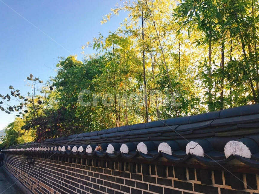 한옥,전주,돌담길,풍경,골목,한국적인,전통