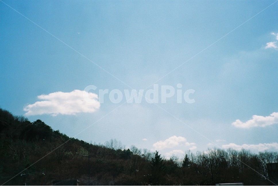 nature,자연,outdoors,옥외,하늘,구름,sky,나무,tree,맑음,날씨,필름카메라,필름,가을,겨울,자연,풍경,nature,landscape