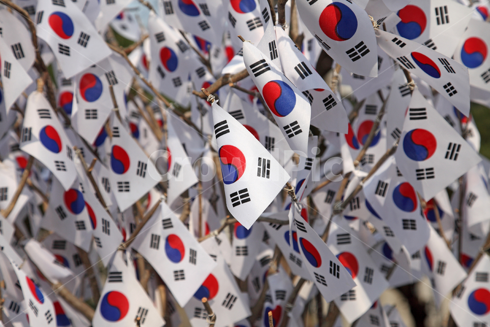 태극기,국기,깃발,휘날리는,펄럭이는,풍경,배경,백그라운드,야외,실외,삼일운동,31운동,31운동,삼일절,31절,31절,광복,광복절,국경일,패턴,여러개,많은,수많은,단체,나무,나뭇가지,클로즈업,서울,한국