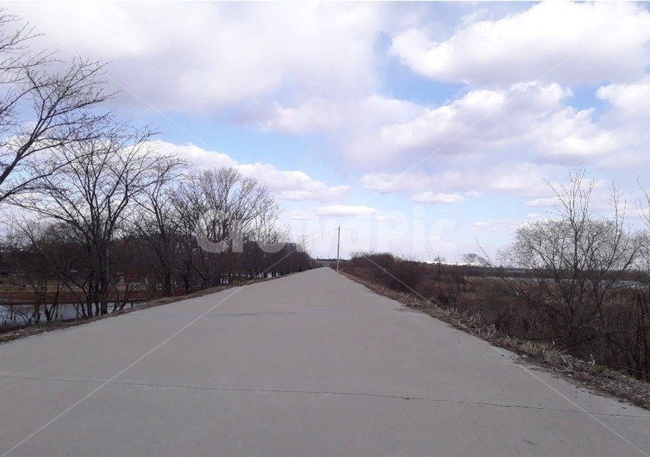 road,도로,시골길,나무,구름