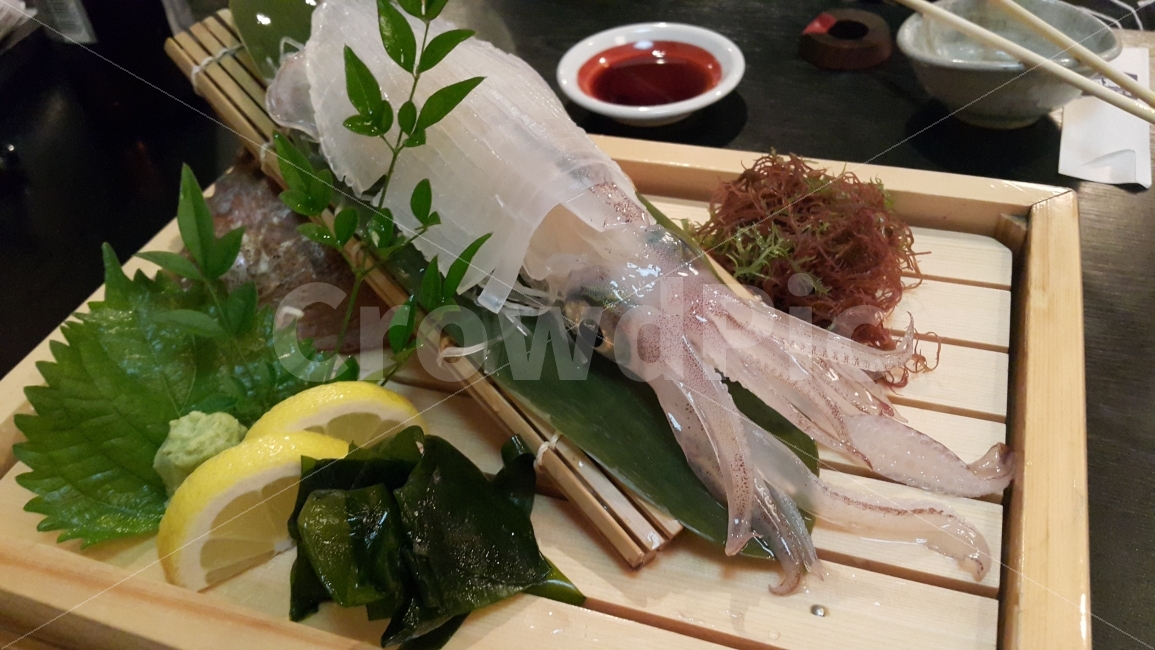 오징어,해물,해산물,수산,수산물,물고기,술안주,안주,식사,요리,레시피,food,recipe,cook,맛집,일본,오징어회,일본요리,일본식,일본여행,해외,외국,해외여행,외국여행,foreign,japan,seafood,시푸드,씨푸드,스냅,스냅사진,snap,snapshot,레몬,과일,fruit,와사비,일식,일식집,meal,dish,dishes,디저트,dessert,맛있다,맛있는,신선,신선한,신선하다,신선도,살아있는,움직이는,꿈틀꿈틀,식품,생선,fish,squid,메뉴,menu,횟집,야채,채소,음식,식재료,요리,food,cook,meal,dishes,food reserves,수산물,해산물,fishery products,seafood,일식,일본음식,일본요리,Japanese food,Japanese dishes,Japanese meal,Japanese cook