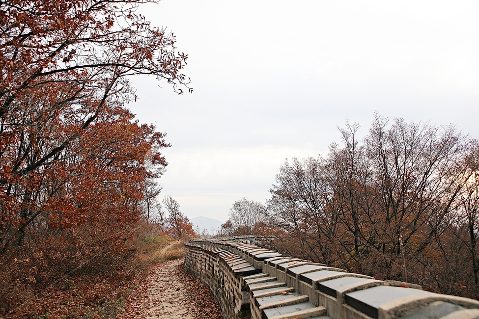 남한산성,성,성곽,단풍,낙엽,길,둘레길,숲,숲길,담,돌담,가을,자연,풍경,벽,울긋불긋,산성,식물,가을,계절,fall,autumn,season,한국전통,한국문화,korean traditional,korean culture,transportation,교통,train track,기찻길,rail,레일,railway,철도