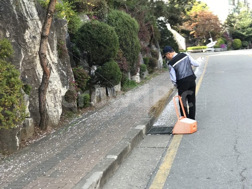 경비원,청소,빗자루,낙엽,가을,단풍,거리,길,노인,사람,인물,인간,human,person,남성,남자,man,male