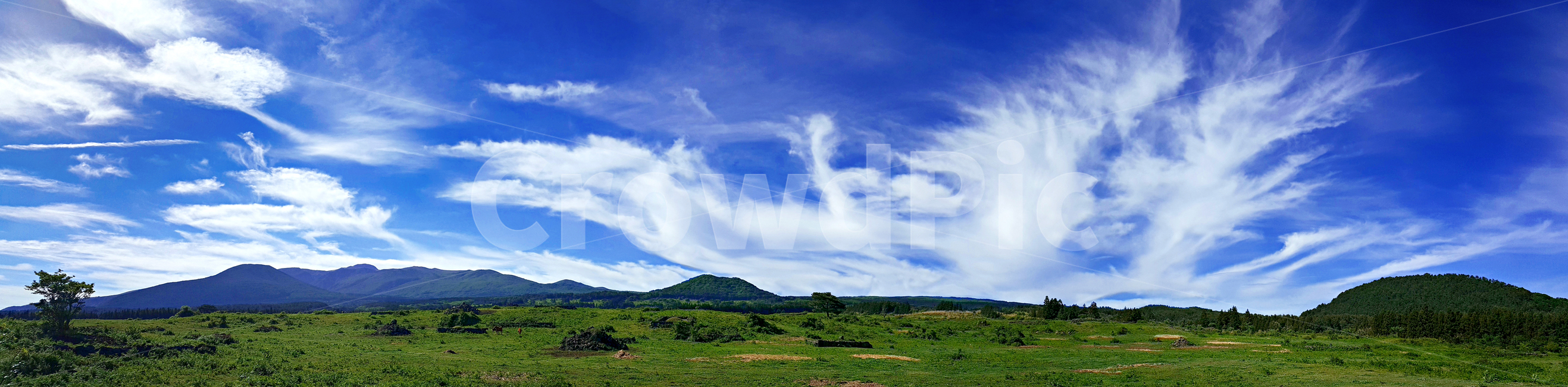 nature,outdoors,옥외,field,들,grassland,목초지,자연,자연,풍경,nature,landscape