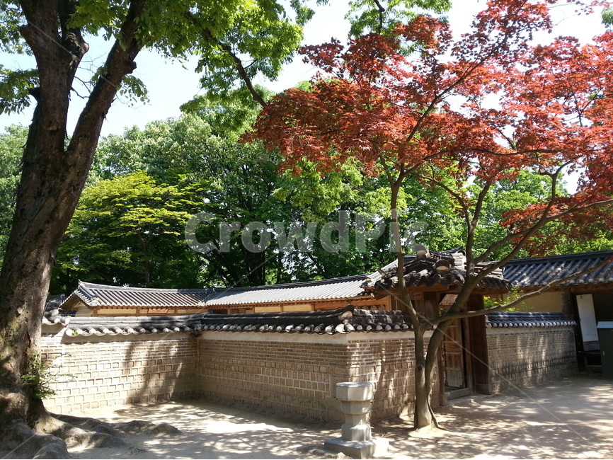 창덕궁,후원,고궁,벽돌담,신록,연경당,한국전통,한국문화,korean traditional,korean culture,건축물,건물외관,exterior,building,structure,architecture,construction