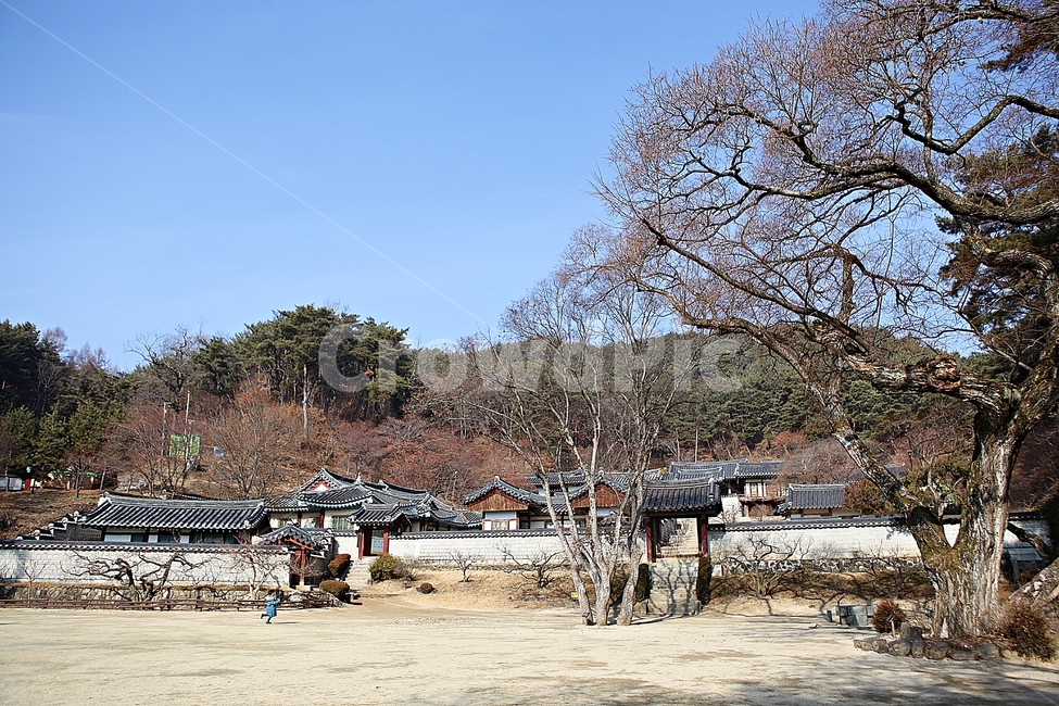 도산서원,한옥,한옥집,집,기와집,전통집,건물,자연,풍경,서원,겨울,한국전통,한국문화,korean traditional,korean culture,건축물,건물외관,exterior,building,structure,architecture,construction