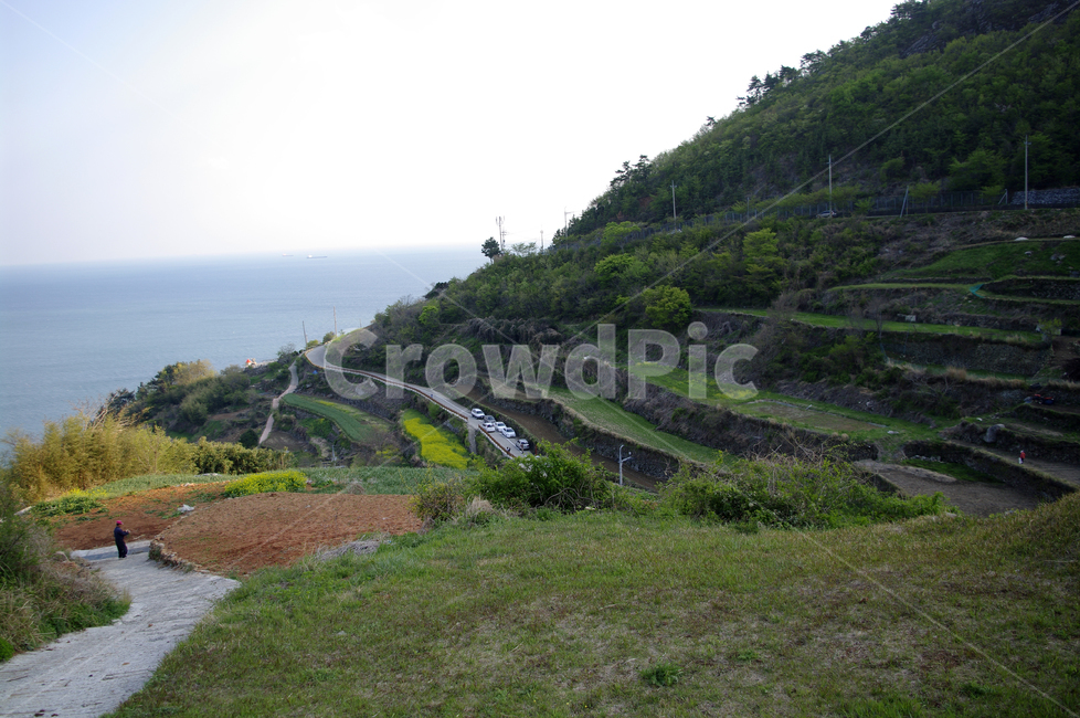 남해,다랑이,풍경,나무,바다,논,자연,풍경,nature,landscape,outdoors,옥외,slope,경사