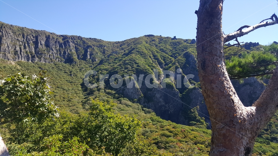 한라산,산,자연풍경,우리나라산,나무,자연,맑은하늘,힐링,햇살