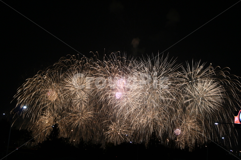 불꽃축제,불꽃놀이,축제,불꽃,야경,빛,밤,풍경,야경,밤,풍경,nightscape,night,landscape,축제,행사,festival,carnival,event,nature,자연,outdoors,옥외