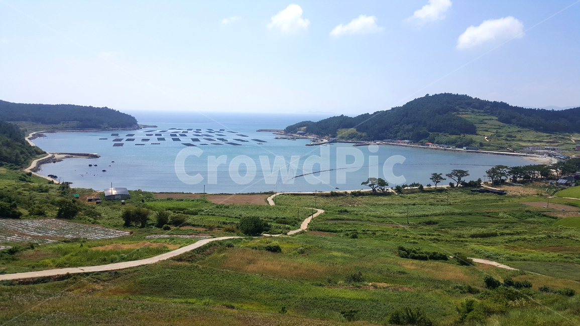 청산도,여름,바다,자연,풍경,자연,풍경,nature,landscape,promontory,곶,land,땅,outdoors,옥외,water,물,sea,ocean,대양,shoreline,해안선