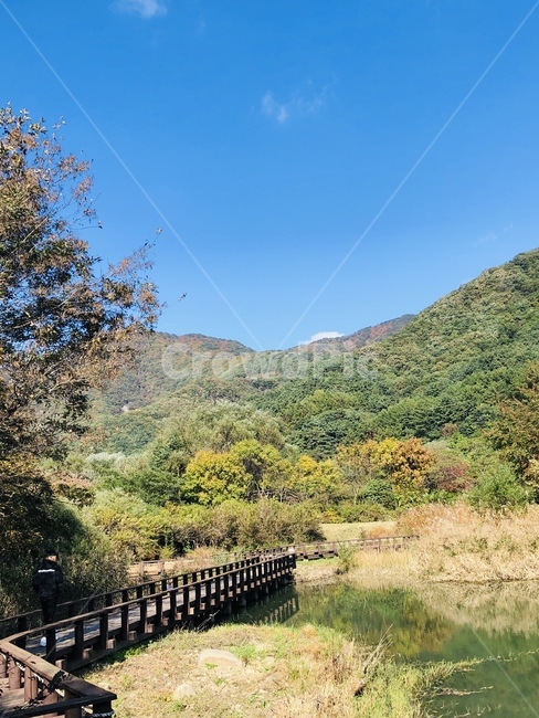자연,풍경,가을,산,nature