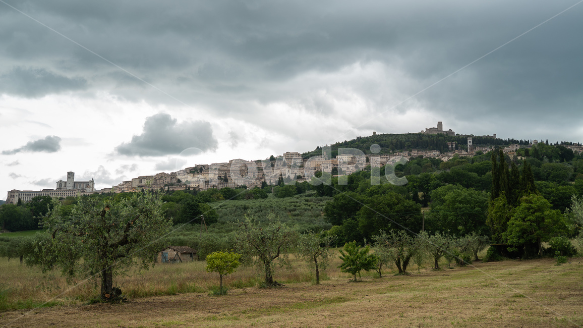 아시시,중세도시,흐린날,흐린,나무,풍경,assisi,italy,italia,이탈리아,이태리,이탈리아소도시,소도시