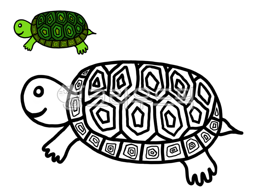색칠공부,색칠하기,동물,파충류,거북이,거북,거북색칠공부,거북색칠하기,거북그림,거북일러스트,그림색칠,동물색칠공부,동물색칠하기,유아미술,유아그림공부,초등미술,turtle,animal,그래픽,일러스트레이션,graphic,illustration
