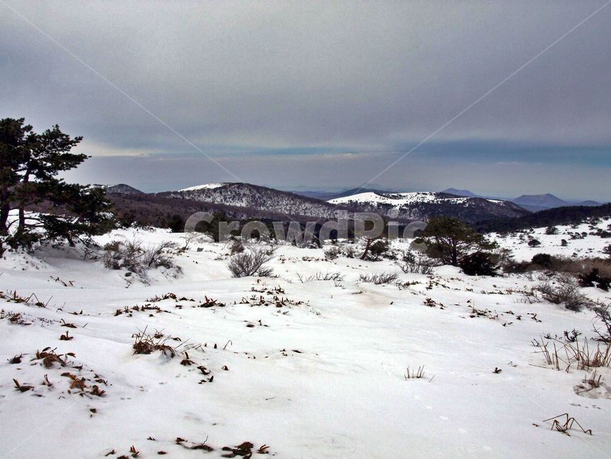어리목,제주도,한라산,설경,겨울산,눈,등산,설화,오름,겨울,계절,winter,season,자연,풍경,nature,landscape,outdoors,옥외,tree,나무,plant,식물,plateau,고원