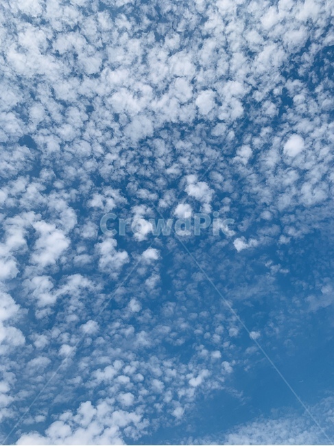 nature,자연,outdoors,옥외,하늘,구름,sky,cloud,풍경,landscape,푸른하늘