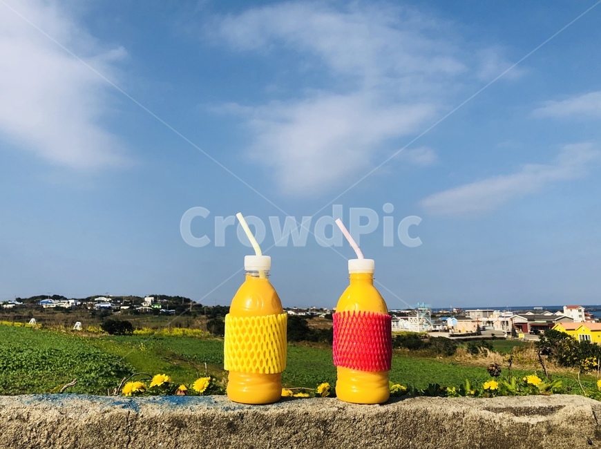 주스,하늘,제주도,우도,juice,yellow,노랑,음료수,drink,beverage