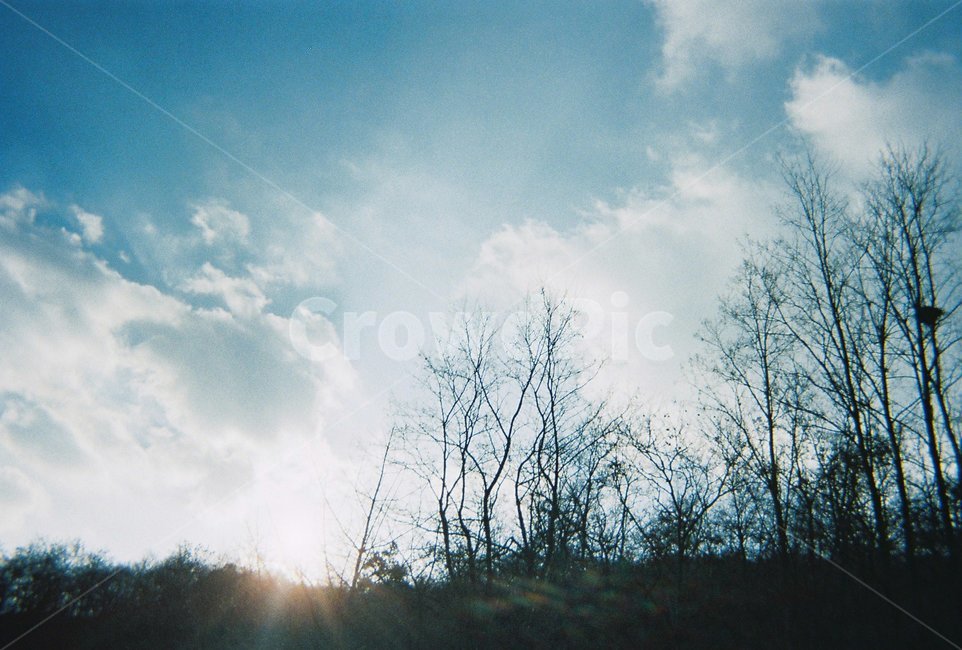 하늘,heaven,겨울,winter,감성,구름,cloud,필름