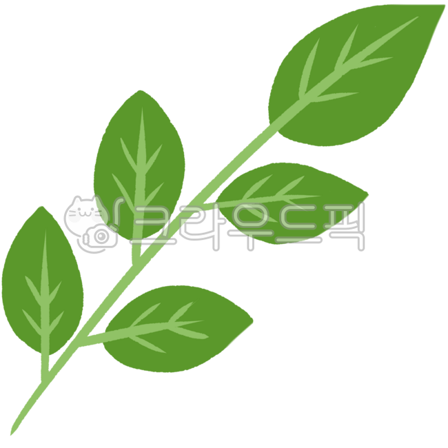 나무과식물, 식물줄기그림, 식물줄기, 나뭇가지식물일러스트, 나뭇가지, 사진,이미지,일러스트,캘리그라피 - 키마두들작가