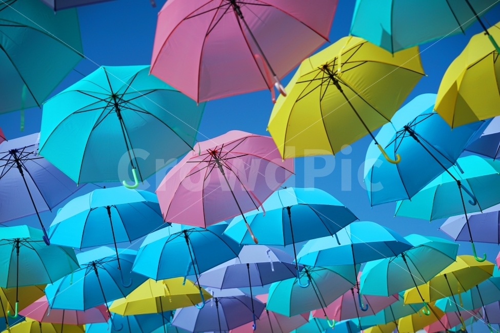 우산,배경,분홍,파랑,노랑,보라,예술,art,색깔,색상,색채,색감,color sense,color sensitivity,feeling of color,사물,물건,오브젝트,thing,object,matter