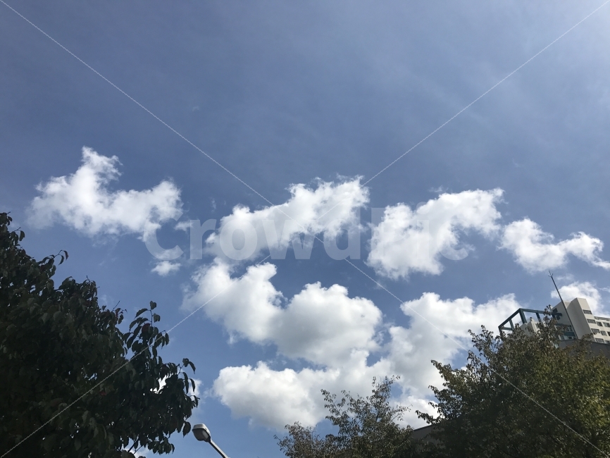 풍경,가을,가을풍경,구름,하늘,landscape,자연,풍경,nature,landscape,outdoors,옥외,weather,날씨,cloud,cumulus,적운,sky