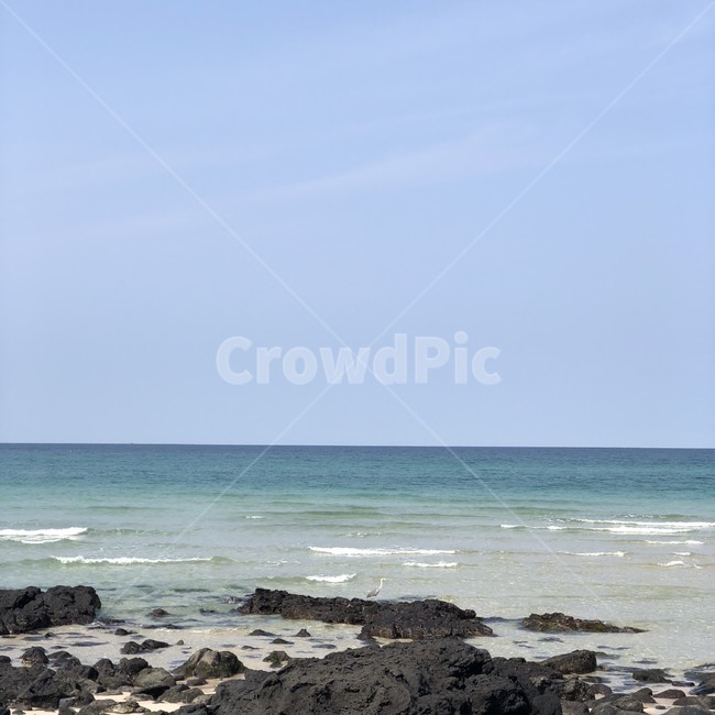 바다,제주,제주도,파도,푸른,하늘,수평,바위,에메랄드,갈매기,새,청량,여름,투명,자연,풍경,nature,landscape,제주도,jeju,jeju island,outdoors,옥외,ocean,대양,water,물,sea,promontory,곶