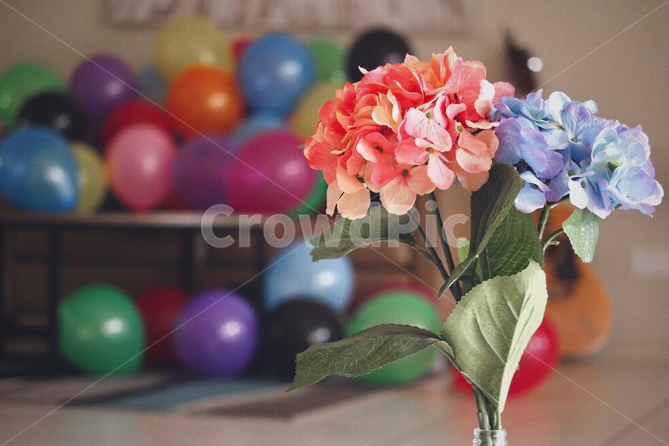 풍선,알록달록,파티,이벤트,행사,실내,감성,color,event,balloon
