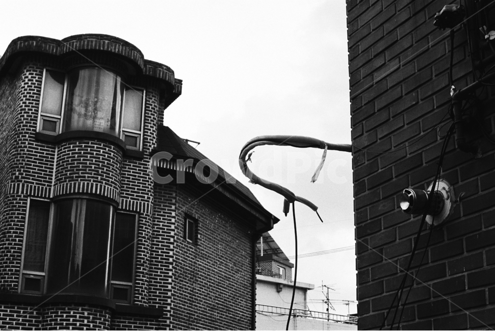 건물,에어컨호스,거리,흑백,창문,흑백,모노톤,monochrome,black and white