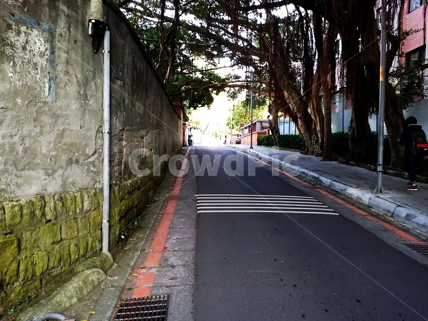 골목길,담벼락,통행,산책길,등교길,아기자기,도시,풍경,city,landscape,asphalt,아스팔트,road,도로