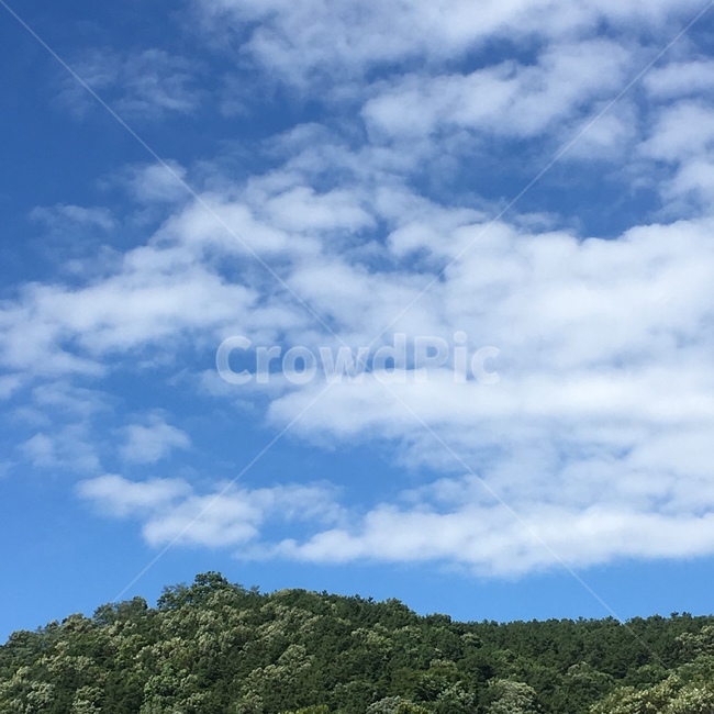 하늘,구름,파랑,초록,풍경