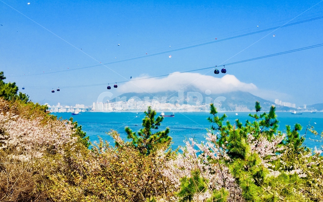 부산송도,케이블카,봄풍경,spring,landscape,풍경,맑은날,자연,풍경,nature,landscape,cable car,vehicle,차량,transportation,교통