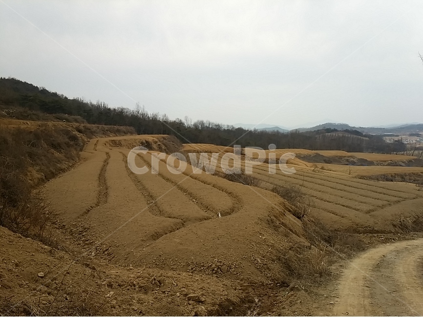 밭,계단식,고랑,이랑,파종,시골,농촌,자연,풍경,nature,landscape,ground,바닥,soil,흙,road,도로,gravel,자갈,dirt road,흙길,outdoors,옥외,land,땅