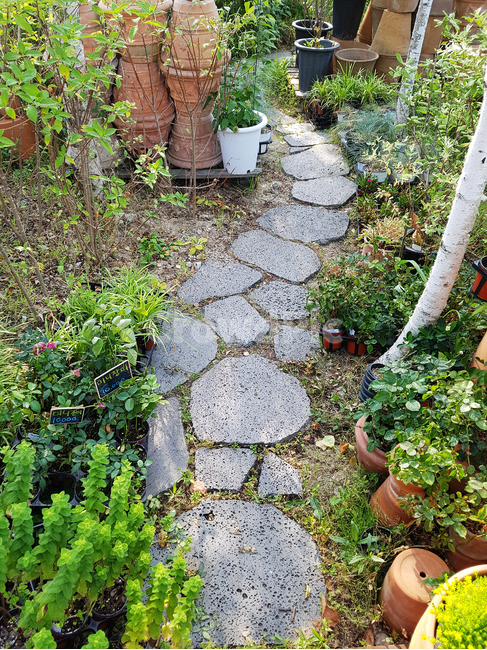 정원,산책,돌,화초,쉼,잎,나무,flagstone,판석