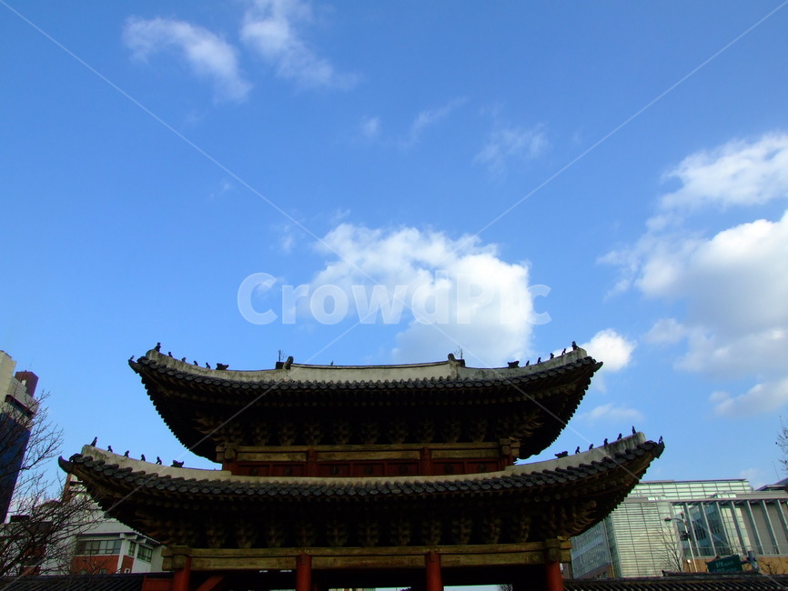 고궁,하늘,나무,풍경,역광,한국전통,한국문화,korean traditional,korean culture,건축물,건물외관,exterior,building,structure,architecture,construction