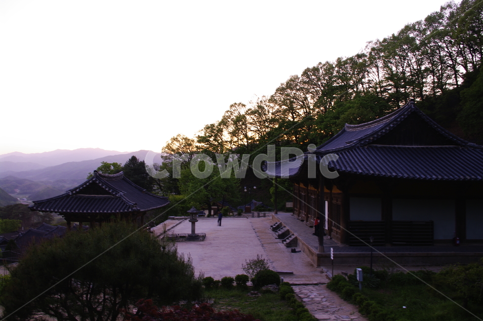 무량수전,국보,부석사,사찰,건축,전통건축,traditional,전통,기와지붕,풍경,자연,풍경,nature,landscape,한국자연풍경,한국자연경관,korea nature landscape,한국전통,한국문화,korean traditional,korean culture,종교,신앙,religion,belief,faith,architecture,건축물,shrine,신사,temple,신전,pagoda,탑,building,건물,worship,예배