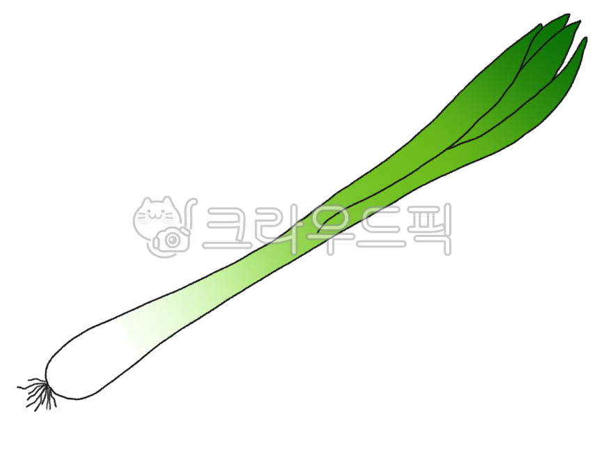 food, 음식, 채소, 야채, 파, 사진,이미지,일러스트,캘리그라피 - sonderness작가