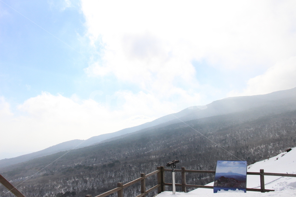 겨울,설산,제주도,나무,오름,눈,트리,한라산,풍경,tree,plant,식물,전나무,fir,크리스마스트리,등산,제주오름