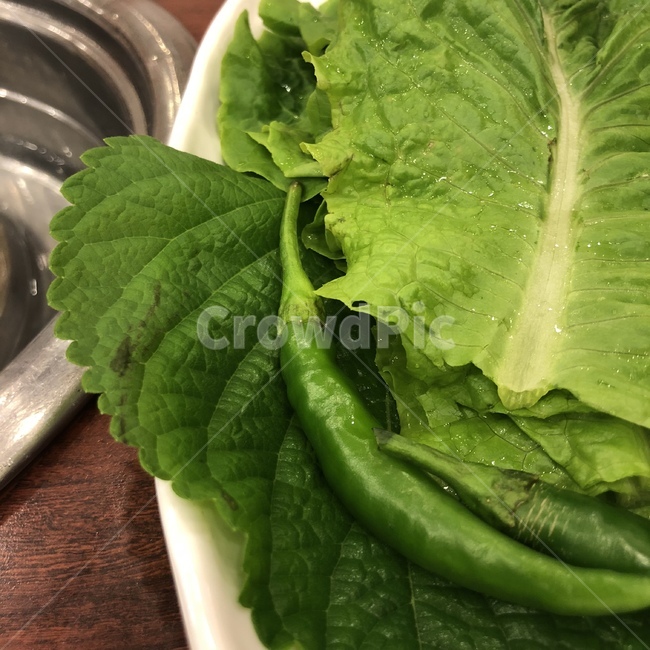 plant,식물,상추,쌈,삼겹살