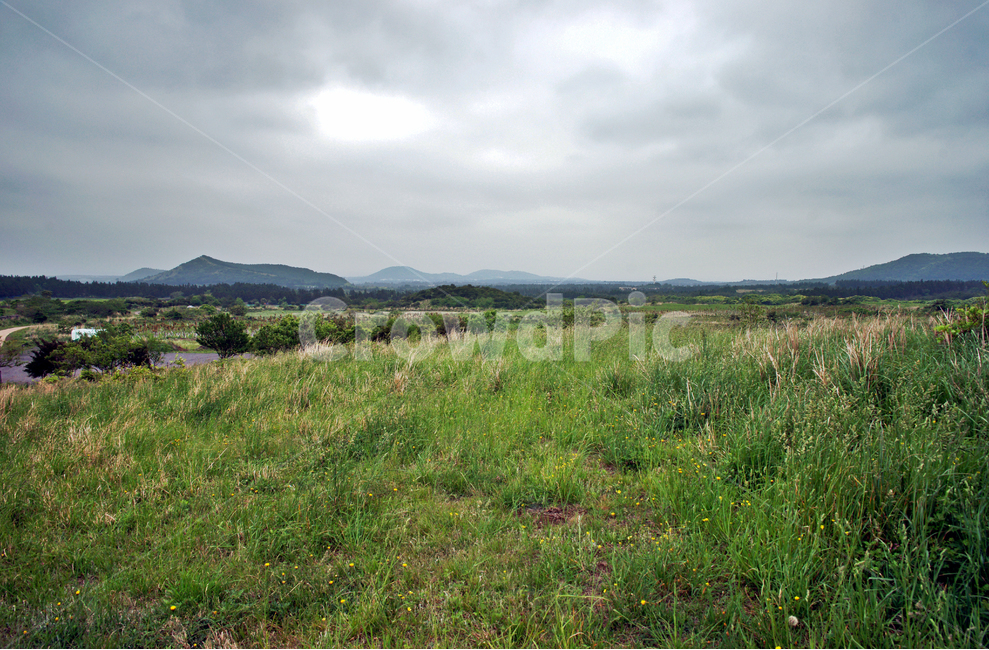 갑마장길,제주도,표선면,오름,따라비오름,기생화산,가시리,자연,풍경,nature,landscape