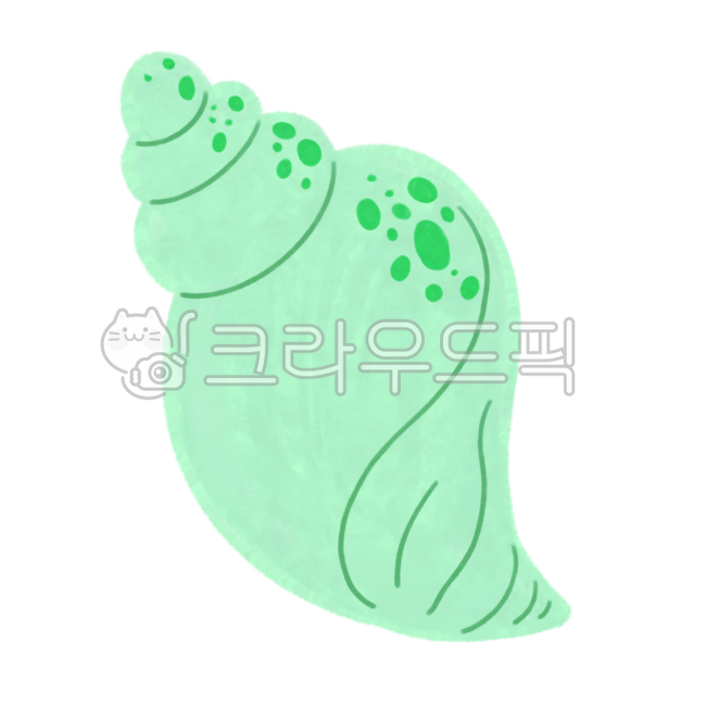 conch,sealife,seashell,Biology,summer,coral,environment day,invertebrate,aquatic plants,world ocean day,husks,marine life,nature,sea day,water,shellfish,ocean,various,underwater,animal,sea creatures,clam,invertebrates