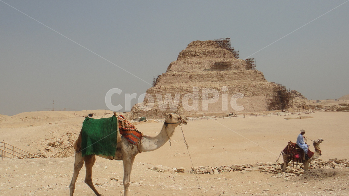 낙타,피라미드,인도,여행,동물,랜드마크,landmark,tourist attraction,해외,외국,세계,foreign,oversea,world,세계랜드마크,해외랜드마크,외국랜드마크,world landmark,world tourist attraction,동물,animal,포유류,mammal,사람,인물,인간,human,person,여행,휴가,traveling,vacation,trip