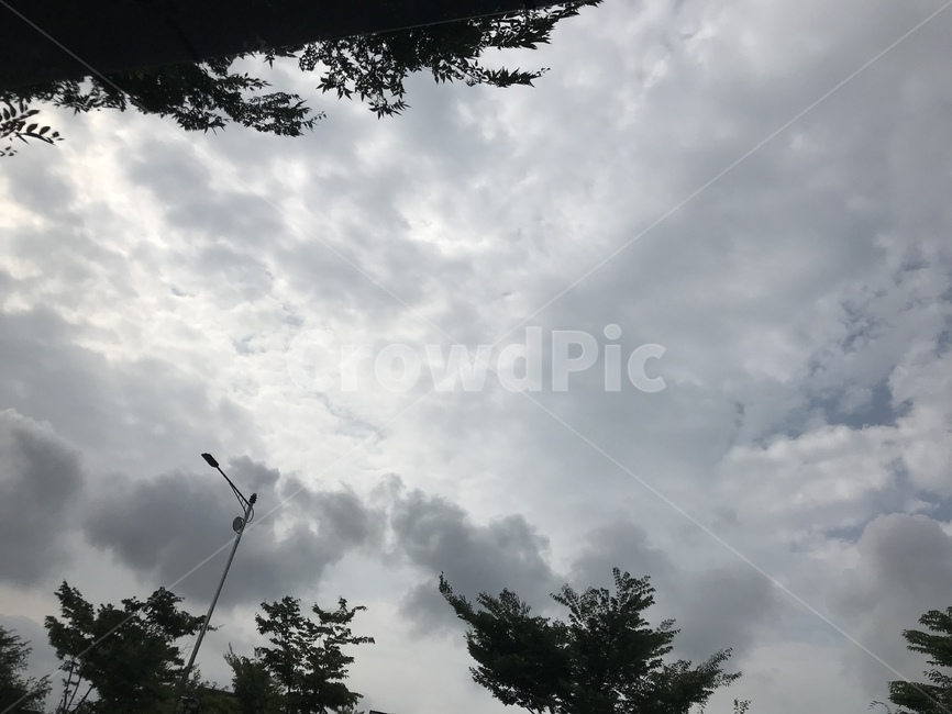 구름,흐림,바람,어두움,자연,안개,비
